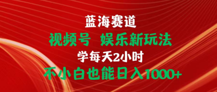 （10818期）蓝海赛道视频号 娱乐新玩法每天2小时小白也能日入1000+-智趣阁